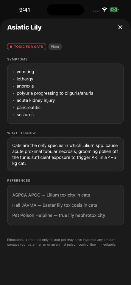 Kiba Toxic Database entry for Asiatic lily in cats, with symptoms, what to know and references